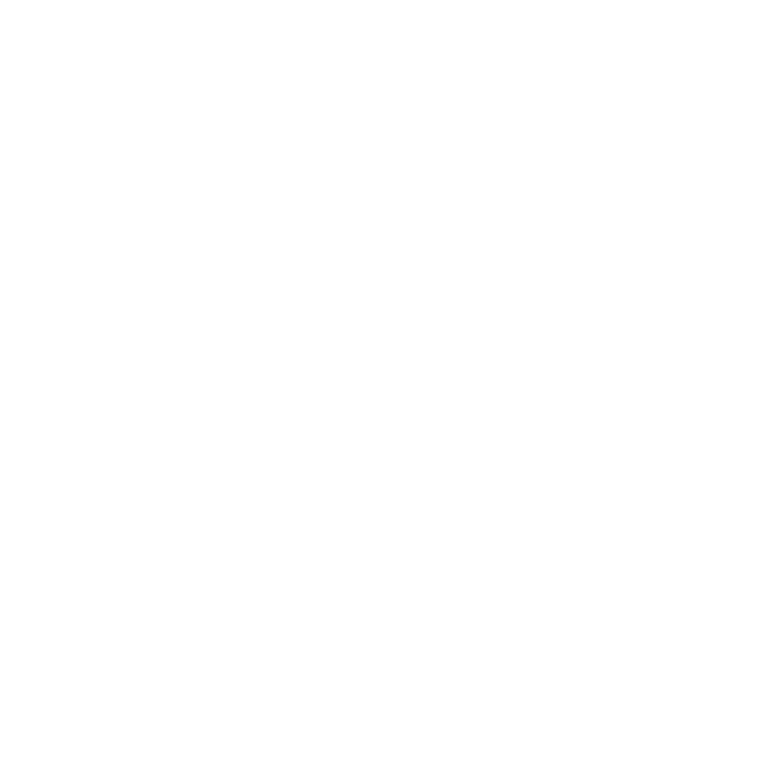 Reverse Mortgages