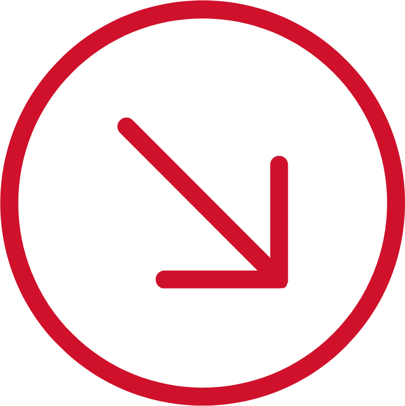 Red arrow icon